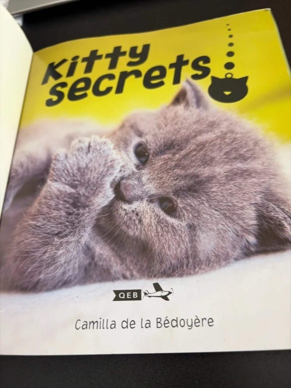 Kitty secrets - Picture 2 of 5